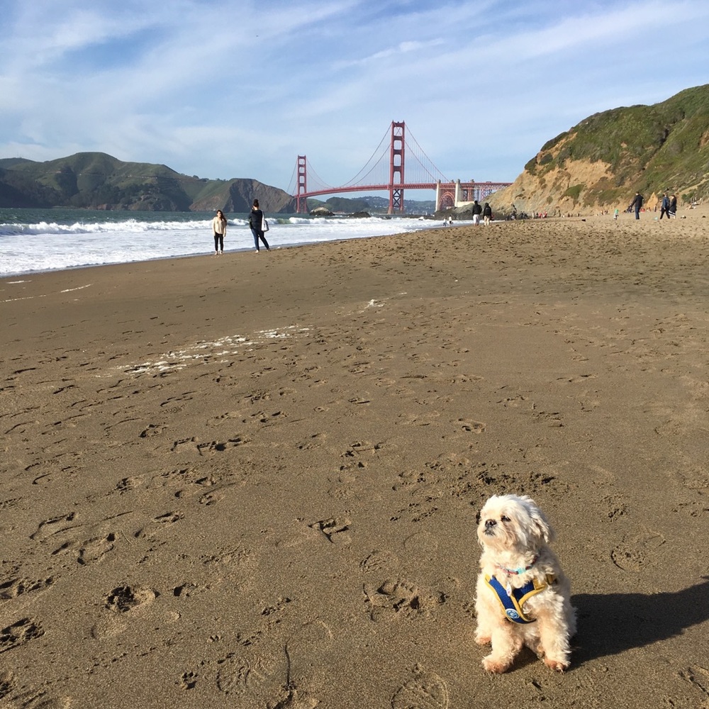 Meet your Seller / Buyer from San Francisco! :)